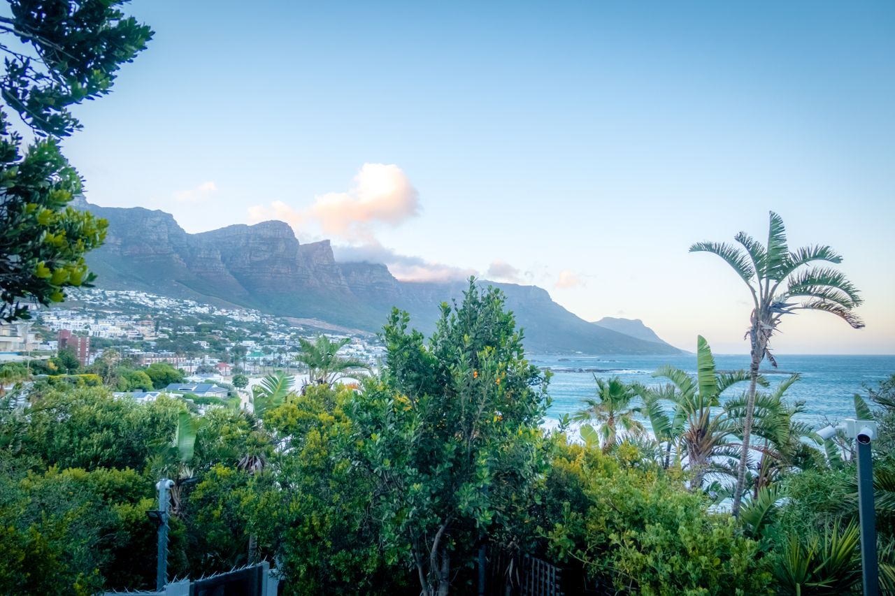 Breathtaking view of Cape Town's coastline with lush greenery and majestic mountains under a clear blue sky.